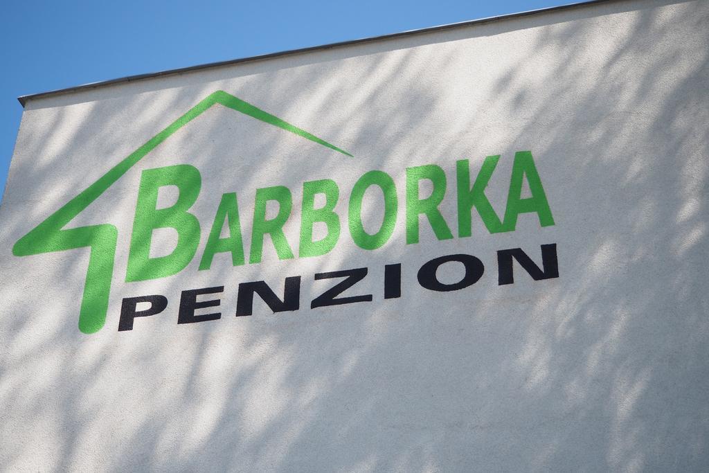 Ubytovani Barborka Hotel Alamóc Kültér fotó